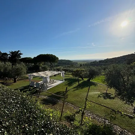 Relais Dei Molini Bed & Breakfast Castagneto Carducci