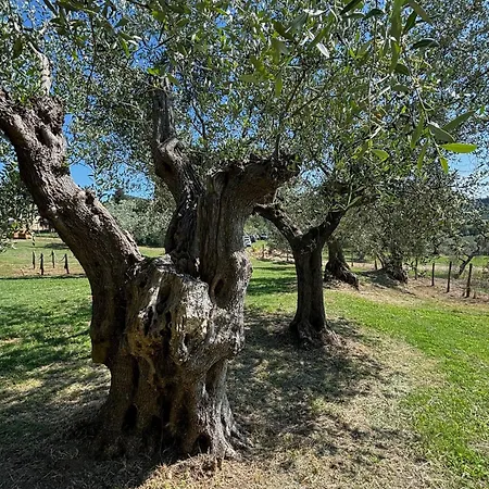 Relais Dei Molini 2*